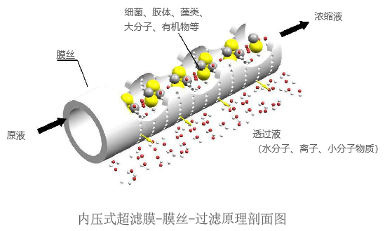 未標題-2.jpg